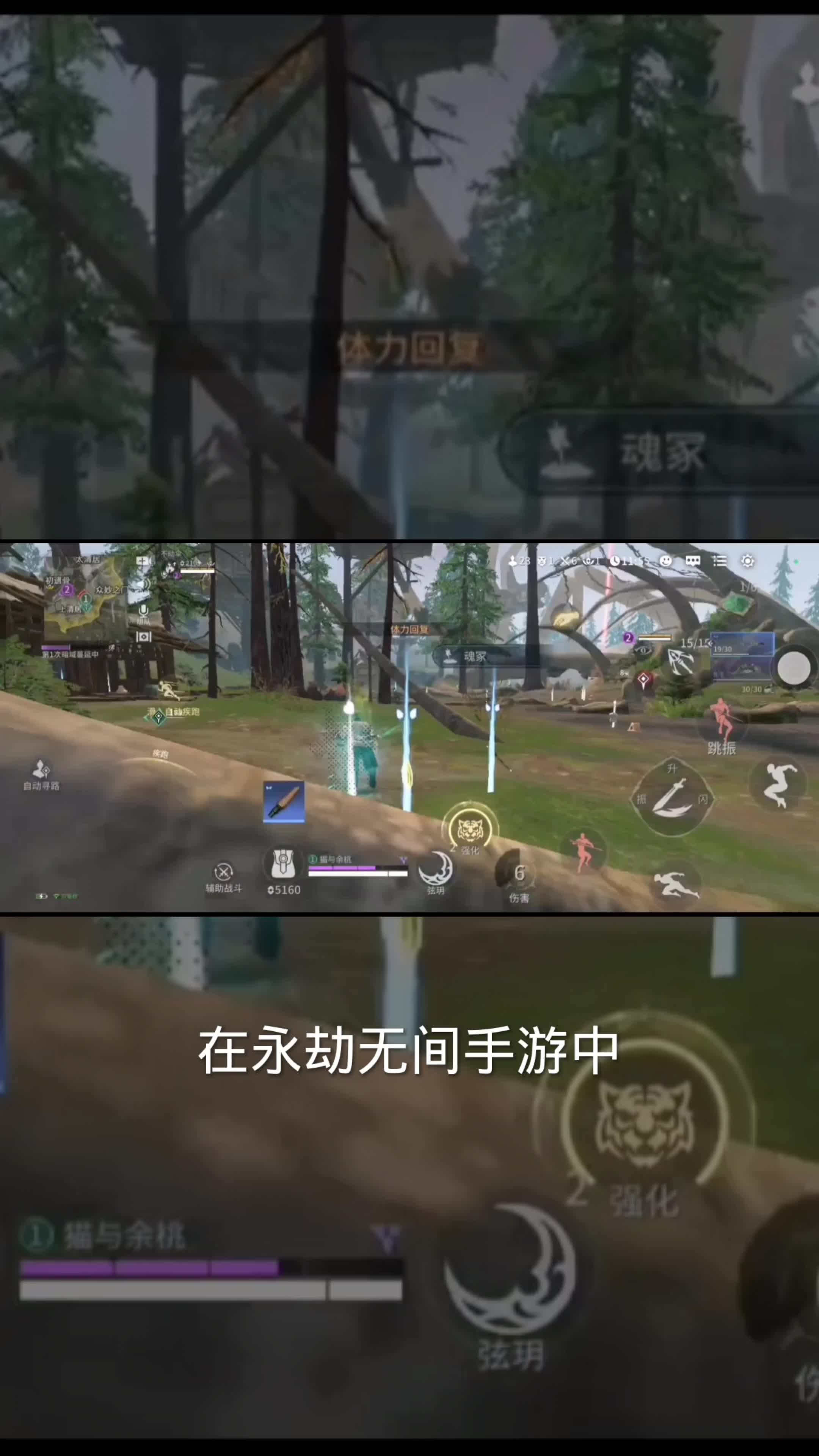 格斗技巧:掌握專業(yè)技能組成: