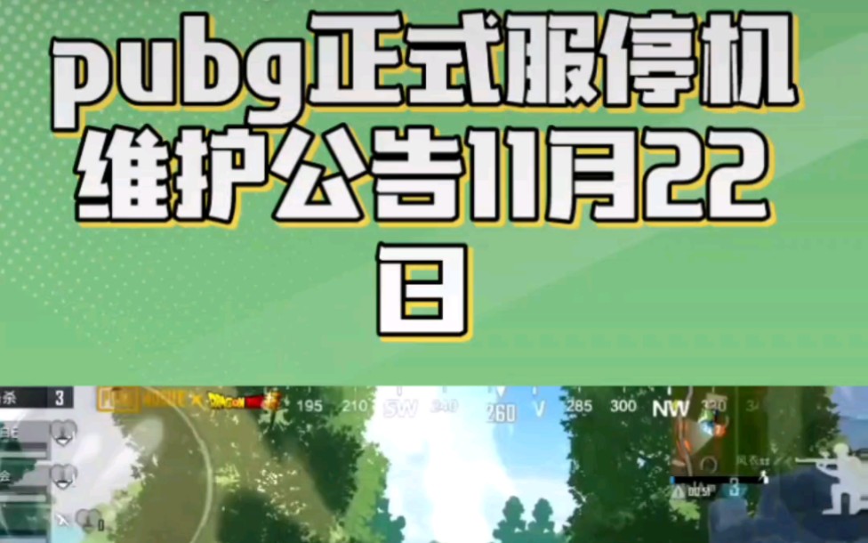 社區(qū)互動(dòng)與反饋